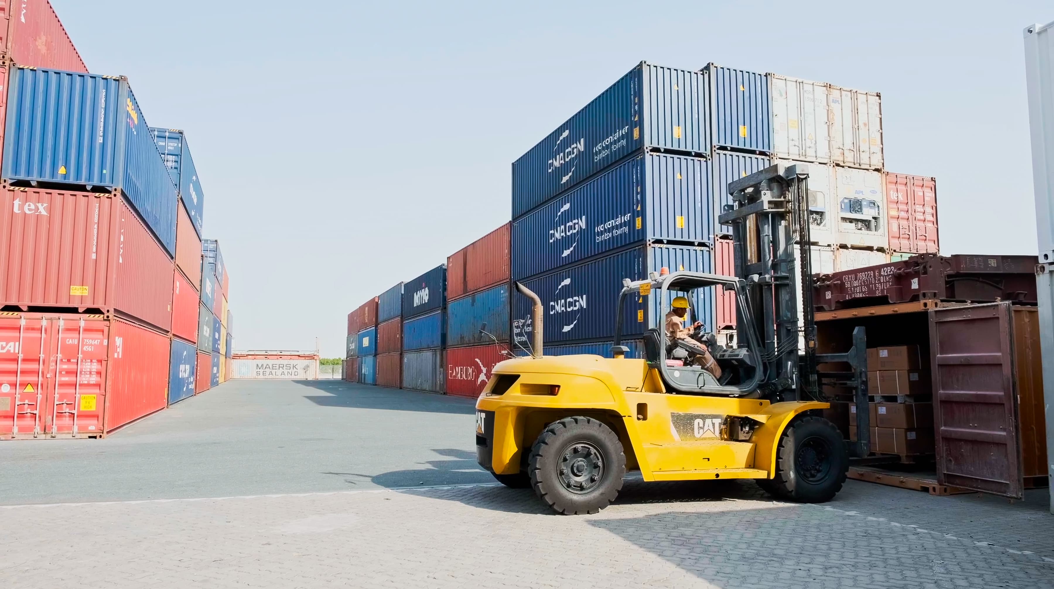 A yellow forklift lifts a container in a spacious shipping yard lined with stacked red and blue containers under a clear sky, conveying efficiency and scale